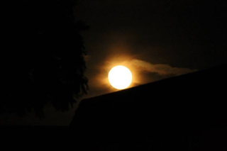 Illustration for article titled Las fotos más hermosas de la última superluna